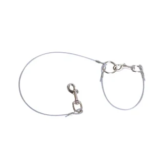 Universal Dog Ute Tether