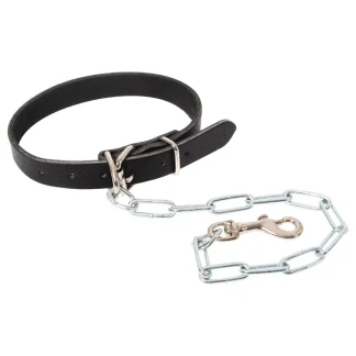 Leather Dog Collar with Chain