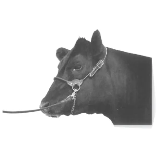Brown Leather Round Strap Calf Halter