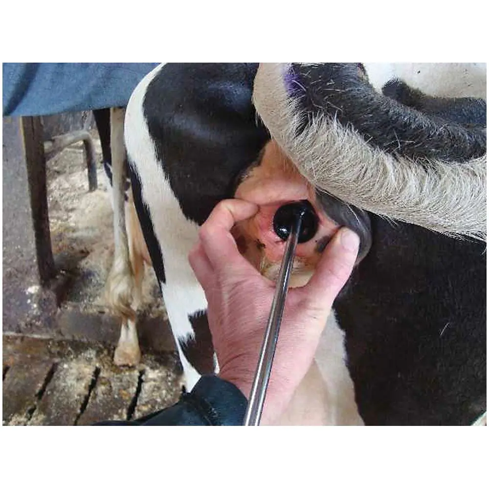Simcro Metricheck Replacement Cups x 5