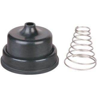 Hansen Valve Replacement Spring & Diaphragm
