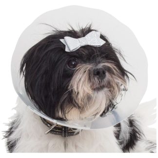 Genia Greencol E-Collar