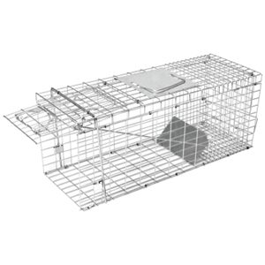 Single Entry Folding Trap