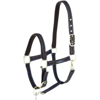 GoLeyGo Horse Halter Size 1 Brown/Light Blue