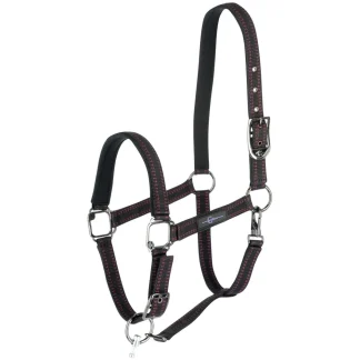 GoLeyGo Horse Halter Size 4 Black/Fuchsia