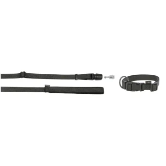 GoLeyGo Dog Leash and Collar Small Black