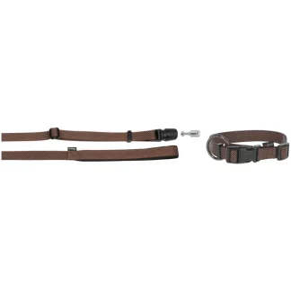 GoLeyGo Medium Dog Leash and Collar