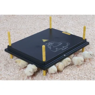 Chick Warmer 50x40cm (No Regulator)
