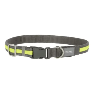 LED Flashing Dog Collar S/M 35-50cm 20mm
