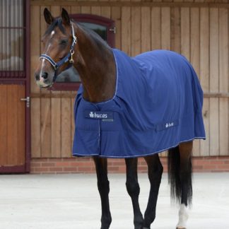 Bucas Shamrock Cooler Navy