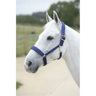 Bucas Comfort Halter Pony Navy/Navy