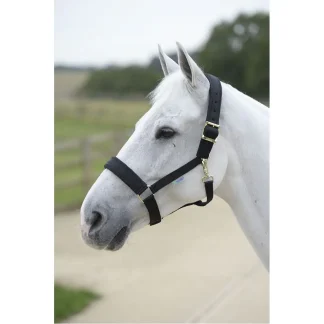 Bucas Comfort Halter X/L Black/Black