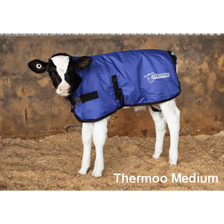 Shoof Thermoo Calf Cover Medium