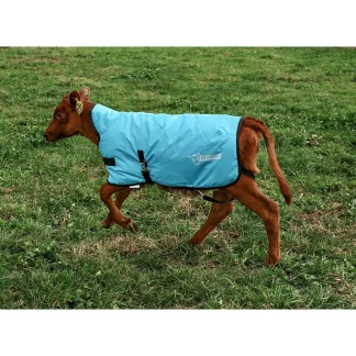 Shoof Thermoo Calf Cover Large Light Blue